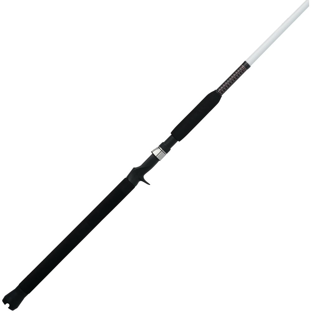 Special Spinning Fishing Rod - огляд і ціна Fishing Rod Spinning