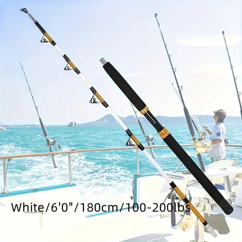 KEEHOME Trolling Rod 2-Section - огляд і ціна Fishing Rod Fly
